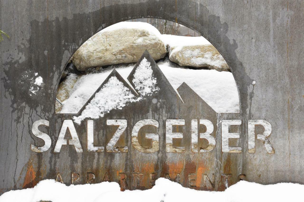 Salzgeber Appartements Sankt Gallenkirch Exterior foto